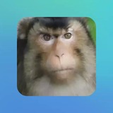 Telegram profile photo for уг вери хард 🐘🧙🏿♂️