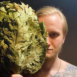Telegram profile photo for Соболев парит
