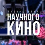 Telegram profile photo for Лаборатория научного кино