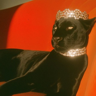 Telegram profile photo for ФЕШЕН АНАСТЕЙШЕН ⚡️