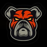Telegram profile photo for DDOG News