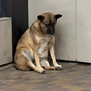 Telegram profile photo for Каспийчанин