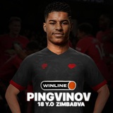 Telegram profile photo for Сергей Пингвинов|Унисон-2
