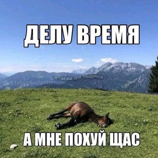 Telegram profile photo for Порноканал жука и дрочильня Моны