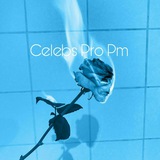 Telegram profile photo for Celebs Pro Pm