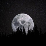 Telegram profile photo for 𝑴𝑶𝑶𝑫