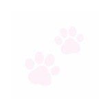 Telegram profile photo for -