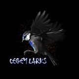 Telegram profile photo for rules cegey larks