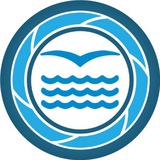 Telegram profile photo for Приморский