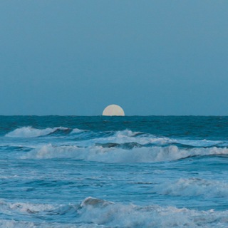 Telegram profile photo for море в груди