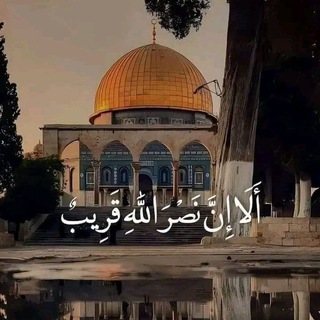 Telegram profile photo for -ﭑڪّتـﯗﺑــࢪ 🩵 🇵🇸🩶