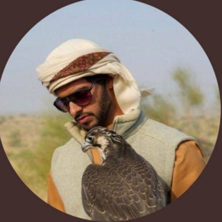 Telegram profile photo for New life 🌷 .
