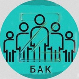 Telegram profile photo for Борисоглебский Антикоррупционный Комитет