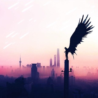 Telegram profile photo for خدمات صفريك