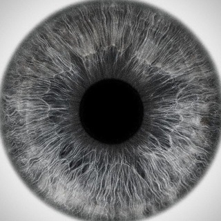 Telegram profile photo for ?Home Shine