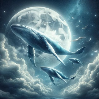 Telegram profile photo for Flying Whales Trading