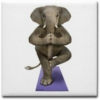 Telegram profile photo for СЛОНОВАЯ АТАКА НА БРОРАДМА🐘🐘🐘🐘🐘🐘