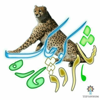 Telegram profile photo for 🌳شاهرود قاره کوچک🌳
