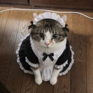 Telegram profile photo for Мемуары ASNъ'а