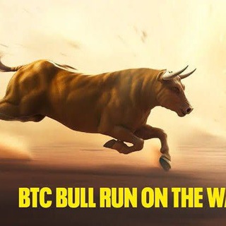 Telegram group profile photo for 2024 BULLRUN