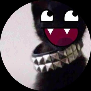 Telegram profile photo for суккуи-