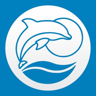Telegram group profile photo for Prefeitura de Imbé #01 🐬📰
