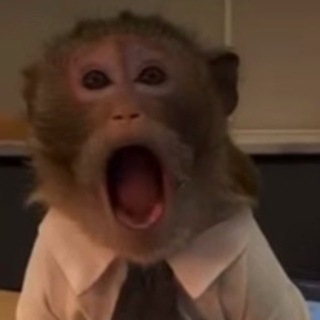 Telegram group profile photo for чат с слоупаник