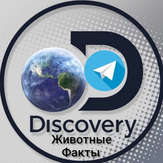 Telegram profile photo for Discovery | Животные | Факты