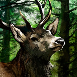 Telegram profile photo for neserjesno