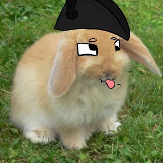 Telegram profile photo for черкаши хамячела (топор 18+)