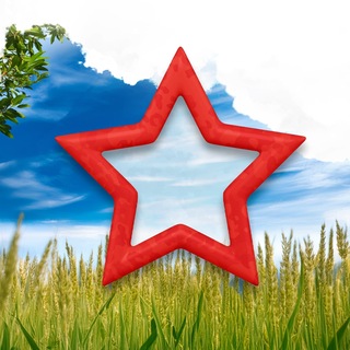Telegram profile photo for За Родину