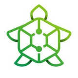 Telegram profile photo for BitsTurtle Invincible Signals Auto📈