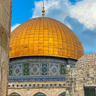 Telegram profile photo for يوسف زمزم الشافعي