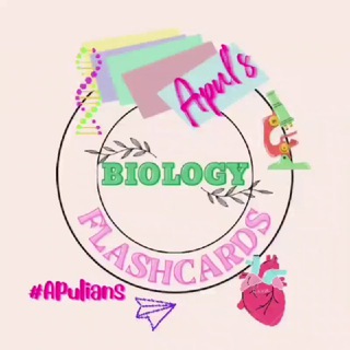 Telegram profile photo for NEET BIOLOGY FLASHCARDS NOTES