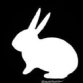 Telegram profile photo for ❌Renovatio Rabbit
