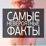 Telegram profile photo for Интересные факты обо всем на свете