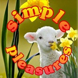 Telegram profile photo for Simple Pleasures