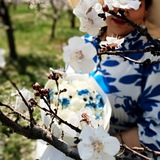 Telegram profile photo for همراه باRaha