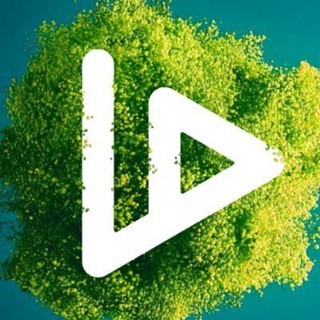 Telegram group profile photo for VIDT DAO Awareness Team