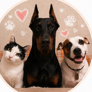 Telegram profile photo for Purrspective
