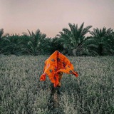 Telegram profile photo for حَبّة🌿