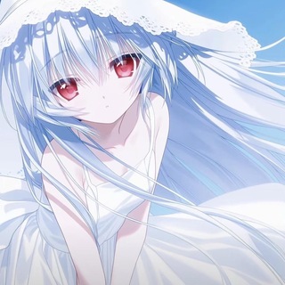 Telegram profile photo for KR数据号