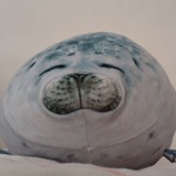 Telegram profile photo for Порисульки