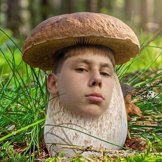 Telegram profile photo for Грибное комьюнити