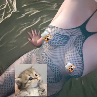 Telegram profile photo for 奶昔的朋友圈