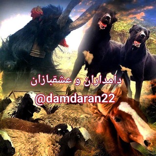 Telegram profile photo for 🐑 دامداران و عشقبازان 🐕