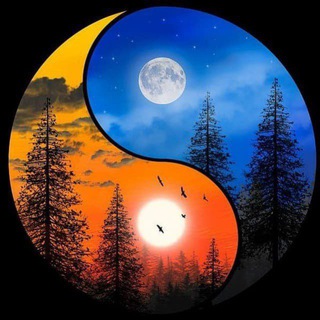 Telegram profile photo for Market Cyclelogy ®️
