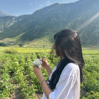 Telegram profile photo for 𝐒υ'𝗌 𝐂ɦα𐓣𐓣𝖾ᥣ🌷