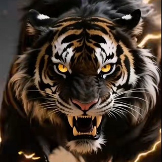 Telegram profile photo for POCKET OPTION SINGLE