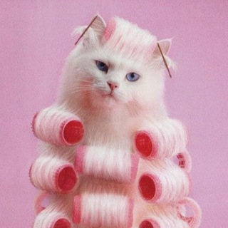 Telegram profile photo for Крути бигуди